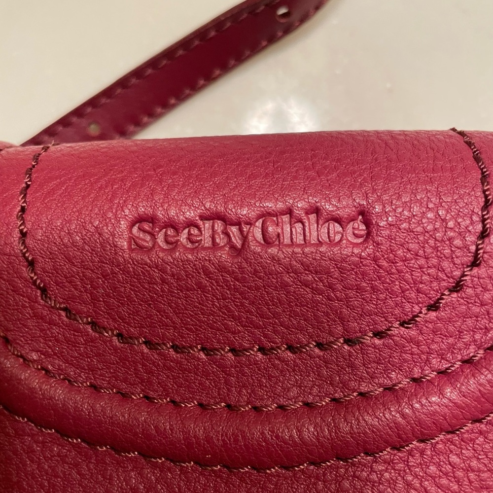 See By Chloe  Leather Convertible Bag - Picture 6 of 14